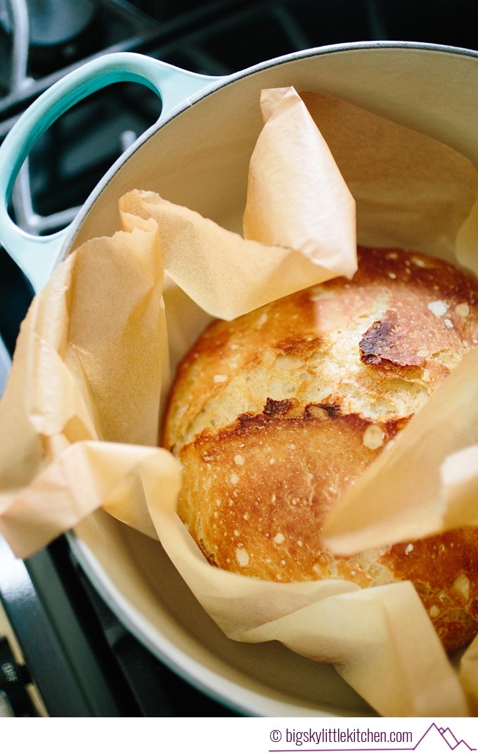 Dutch Oven No Knead Bread (with perfect crusty crust!) - Bowl of Delicious