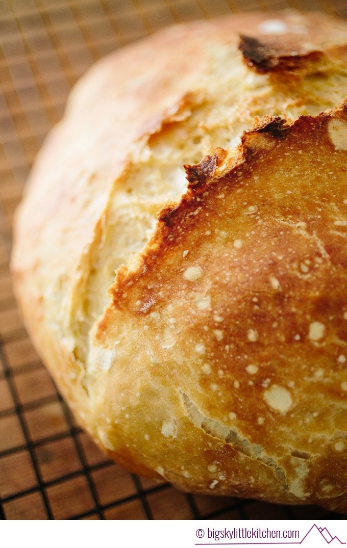 Easy Rustic Dutch Oven No-Knead Crusty Bread - Big Sky Little Kitchen