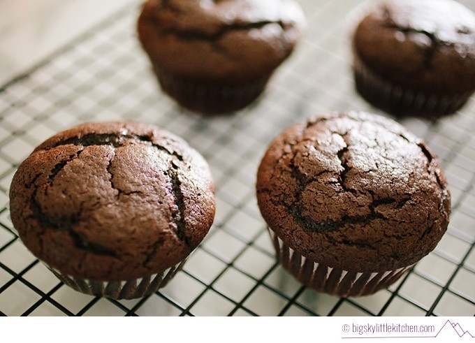 Small Batch Chocolate Cupcakes with Vanilla Buttercream Frosting - Photo by Big Sky Little Kitchen