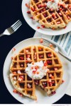 Waffles with Coconut Whipped Cream and Strawberries - Big Sky Little Kitchen