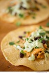 Chipotle Spice Chicken Tacos with Cilantro Slaw and Avocado Cream - Big Sky Little Kitchen