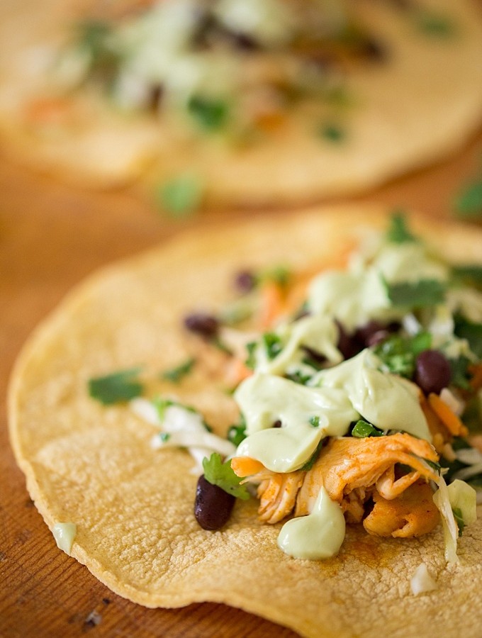 Chipotle Spice Chicken Tacos with Cilantro Slaw and Avocado Cream