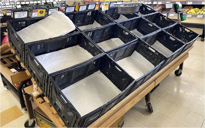 Empty Onion Bins due to Coronavirus Panic - Photos by Kristine Paulsen Photography