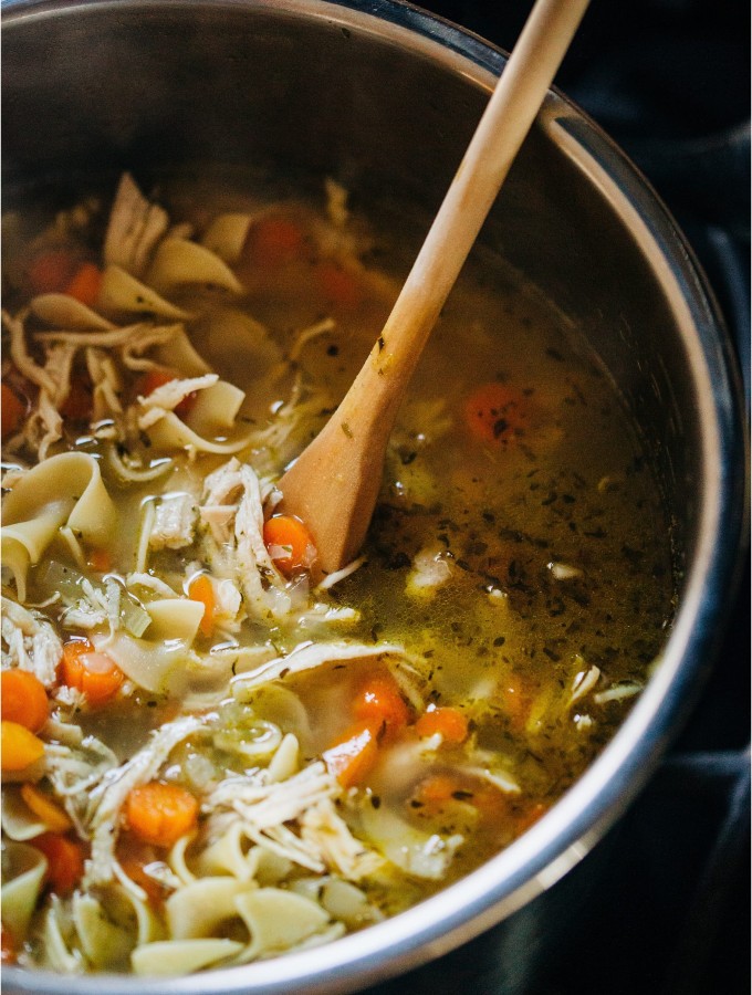 Instant Pot Chicken Noodle Soup