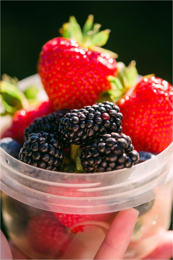 Fresh summer fruit healthy snacks - Photos by Kristine Paulsen Photography for Big Sky Little Kitchen